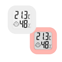 Beauty Label Mini Hygrometer